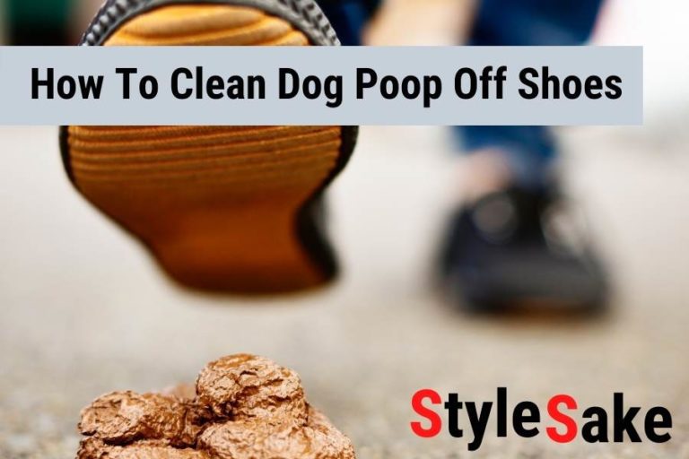 9 Easy Ways To Clean Dog Poop Off Shoes in 2023