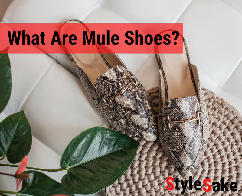 What are mule shoes